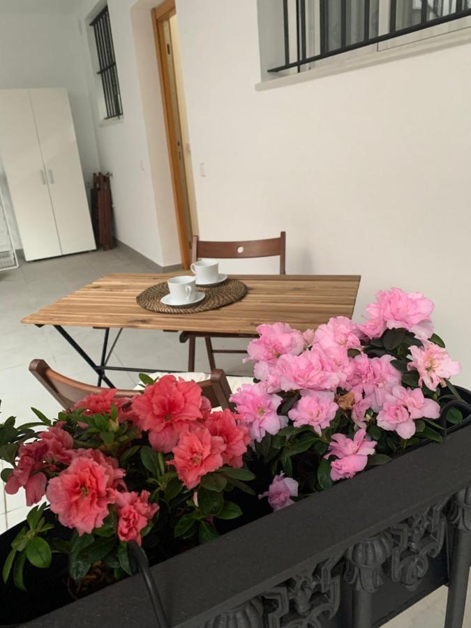 Casa Vigon Apartment Sanlucar de Barrameda Bagian luar foto